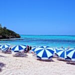 この夏休みに家族でやってみたいアウトドアレジャーは何？